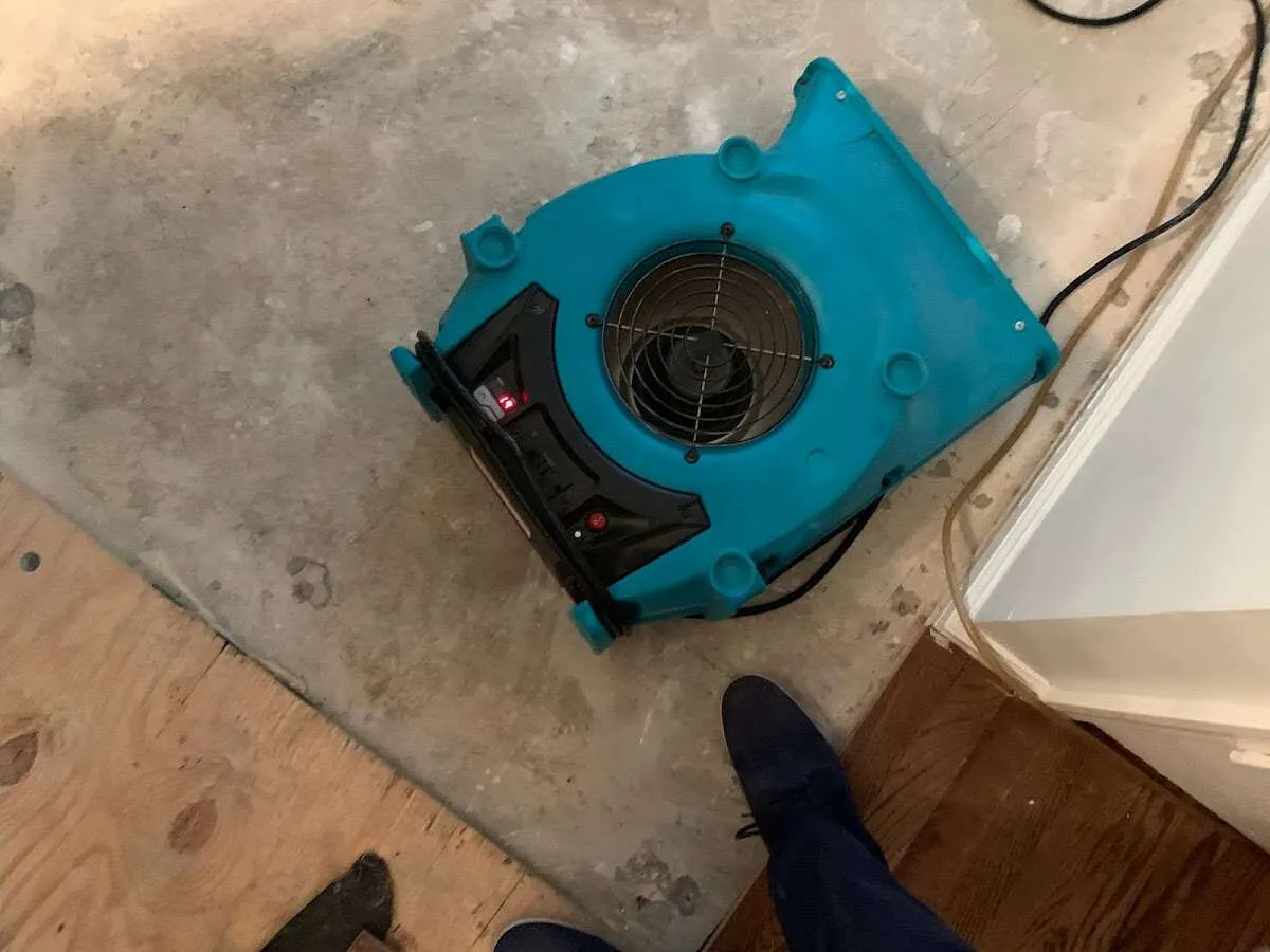 Air mover drying subfloor during Commercial Water Damage Restoration in Rye